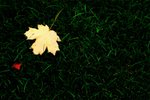 IMG_0179