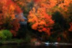 _MG_0240