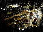 DPP_0005b