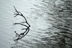 _MG_7585a