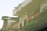 DPP_050