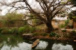 _MG_8768(a)