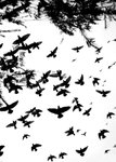 Image178 1024