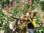 DSC01985