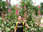 DSC01986