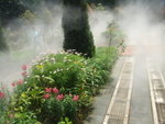 DSC02022