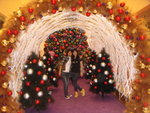 DSC08284