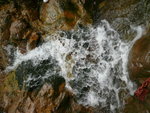 P1010785