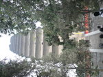 P1000084