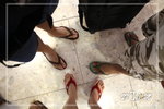 IMG_0496bg