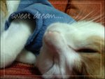 IMG_0281x
