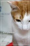 IMG_8615bg