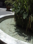 DSC03341