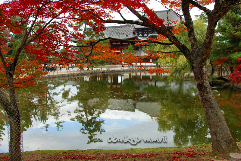 Gohsun.com