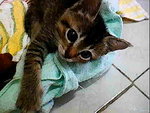 3,4�Ӥ�