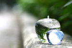 IMG_1679e