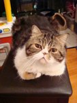 DSC00825