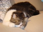 DSC00873