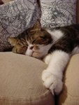 DSC00885