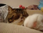 DSC00888