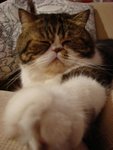 DSC00892