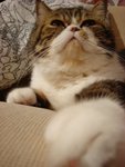 DSC00894