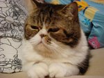 DSC00895