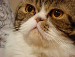 DSC00896