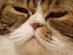 DSC00899
