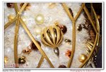 DSCF5272_nEO_IMG