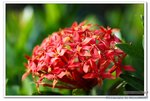 DSC_0008_nEO_IMG