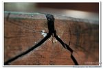 DSC_0017_nEO_IMG