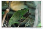 DSC_0018_nEO_IMG