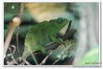 DSC_0019_nEO_IMG