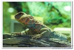 DSC_0021_nEO_IMG