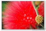 DSC_0026_nEO_IMG
