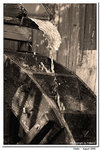 Osaka037_sepia