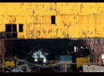 _DSC1553