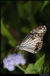 DSC_7160_cpp