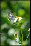 DSC_7508_cp