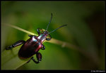 DSC_7669_cp