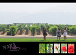 _DSC_3556_cover