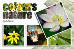 colours of nature 1