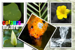 colours of nature 3