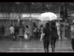 DSCF2651