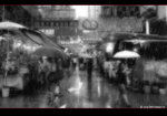 DSCF2662