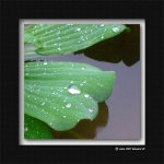 DSCF2725
