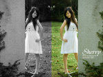 DSC_2764_cover