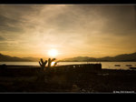 DSC_2412a