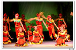 FIR_0954